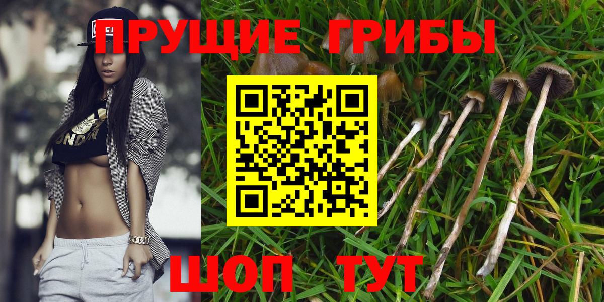 Метадон  ГАШИШ  Как найти закладки?  Мичуринск  Меф кристаллы  Каннабис  LSD-25  APVP СОЛЬ   Вход с VPN 