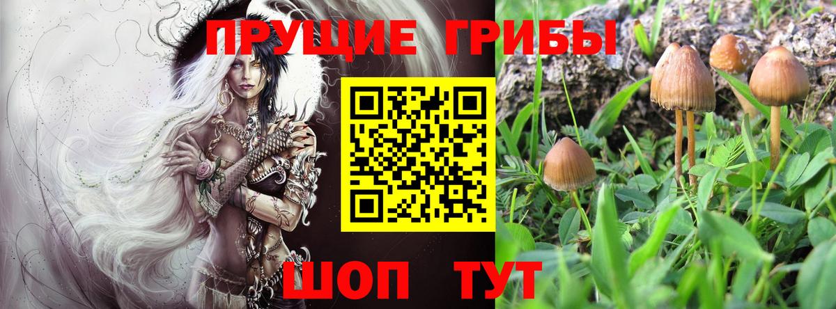 Псилоцибиновые грибы мицелий  Вход с VPN  Мичуринск 